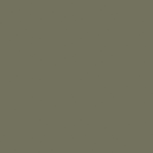 Lacobel Green Artichoke 4620 TR