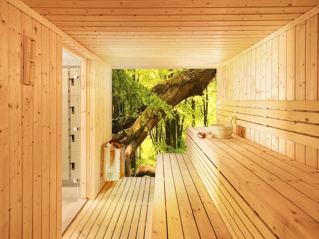 Sauna Bild Wald